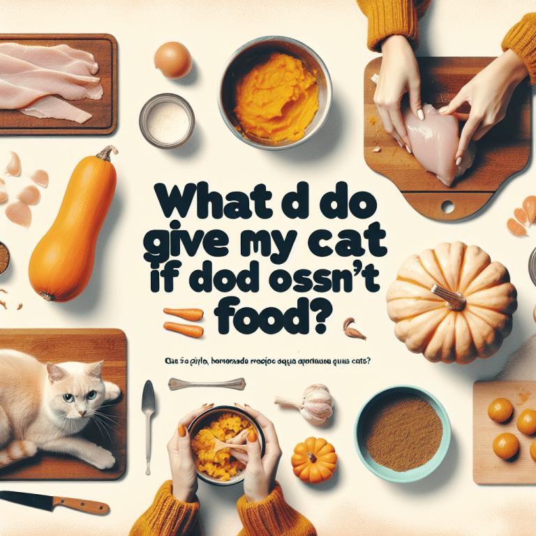 10 Alternativas Saludables: ¿Qué Alimentar a Tu Gato Si Se Acaba su Comida?